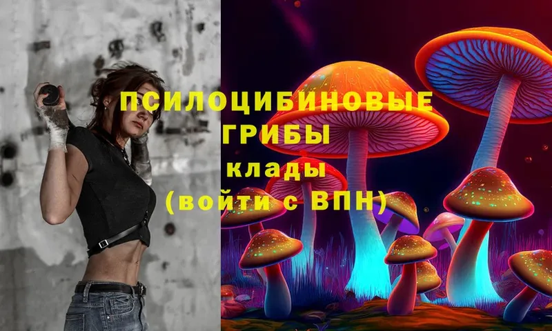 Галлюциногенные грибы прущие грибы  omg как войти  Мегион 